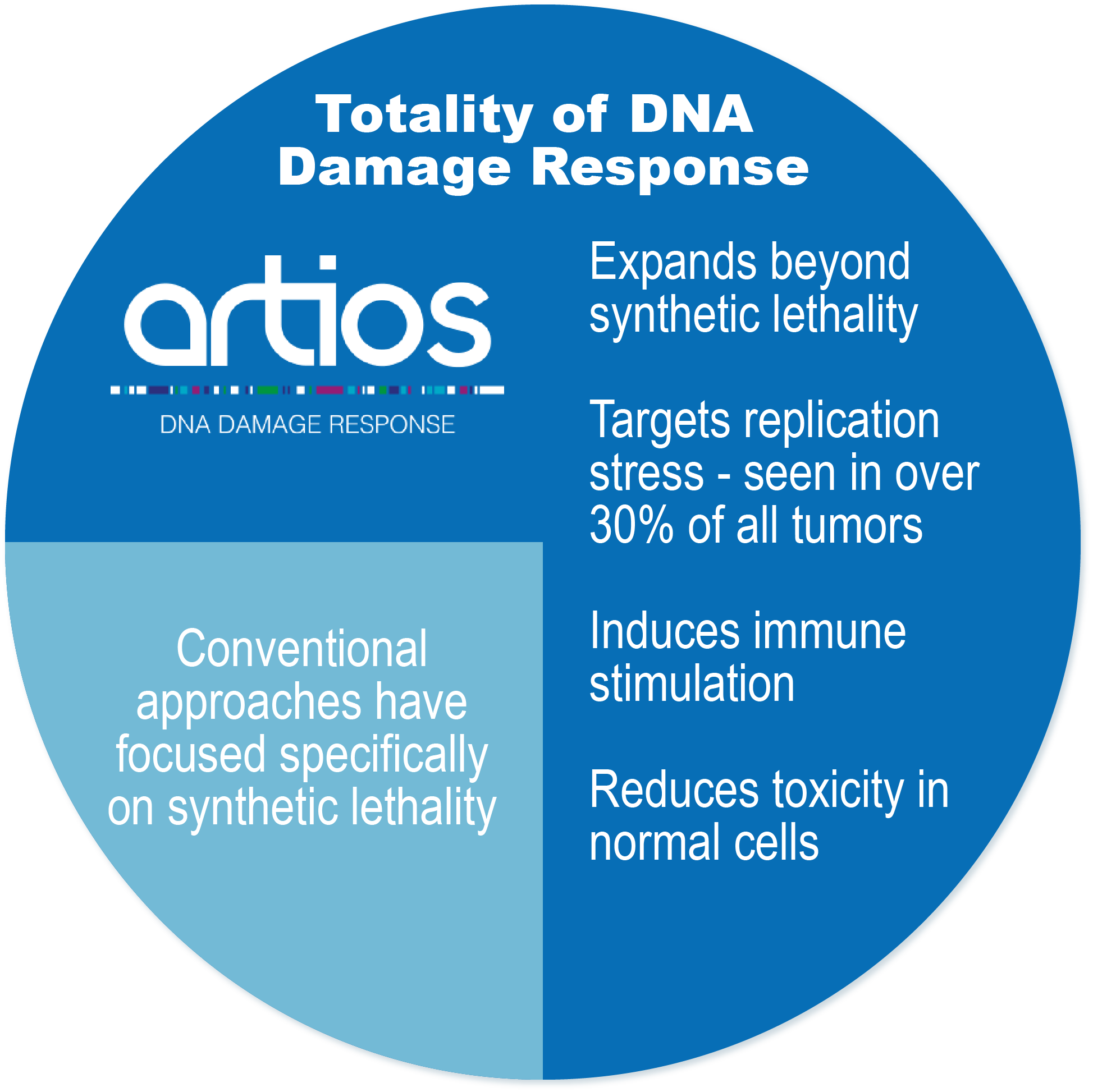 Targeting DDR | DNA Damage Response | Clinical Trials | Artios Pharma